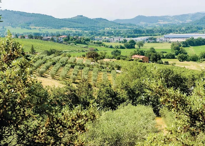 Paucca 1 San Valentino di Villa